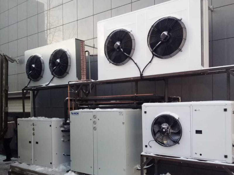 Дарксторы в классическом формате фото