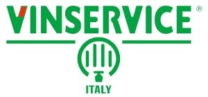 VIN SERVICE
